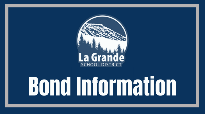 LGSD logo with "Bond Information"