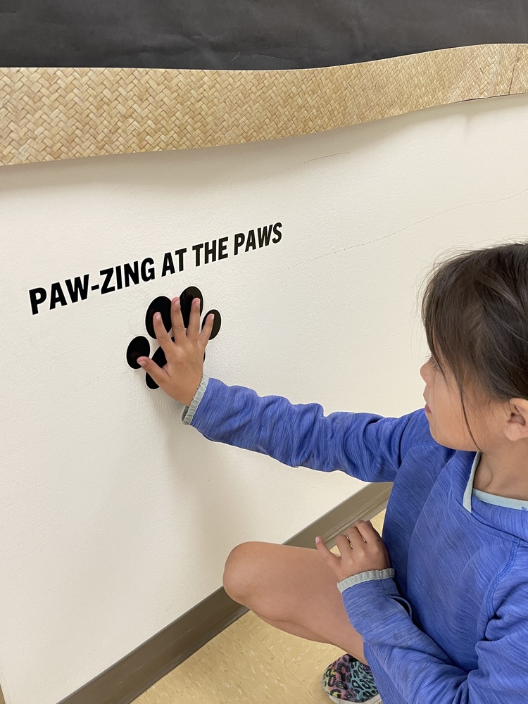 Student Paw-zing at the Paws