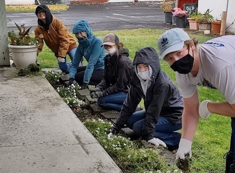 Five students weeding in flower beds