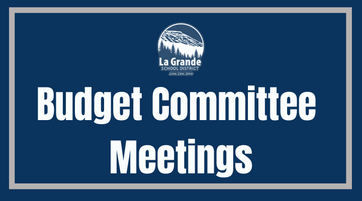 LGSD logo with Budget Committee Meetings