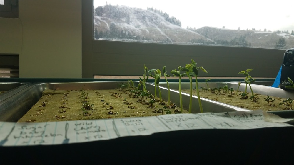 Diggen' In With FoodCorps Fin--March 12, 2021