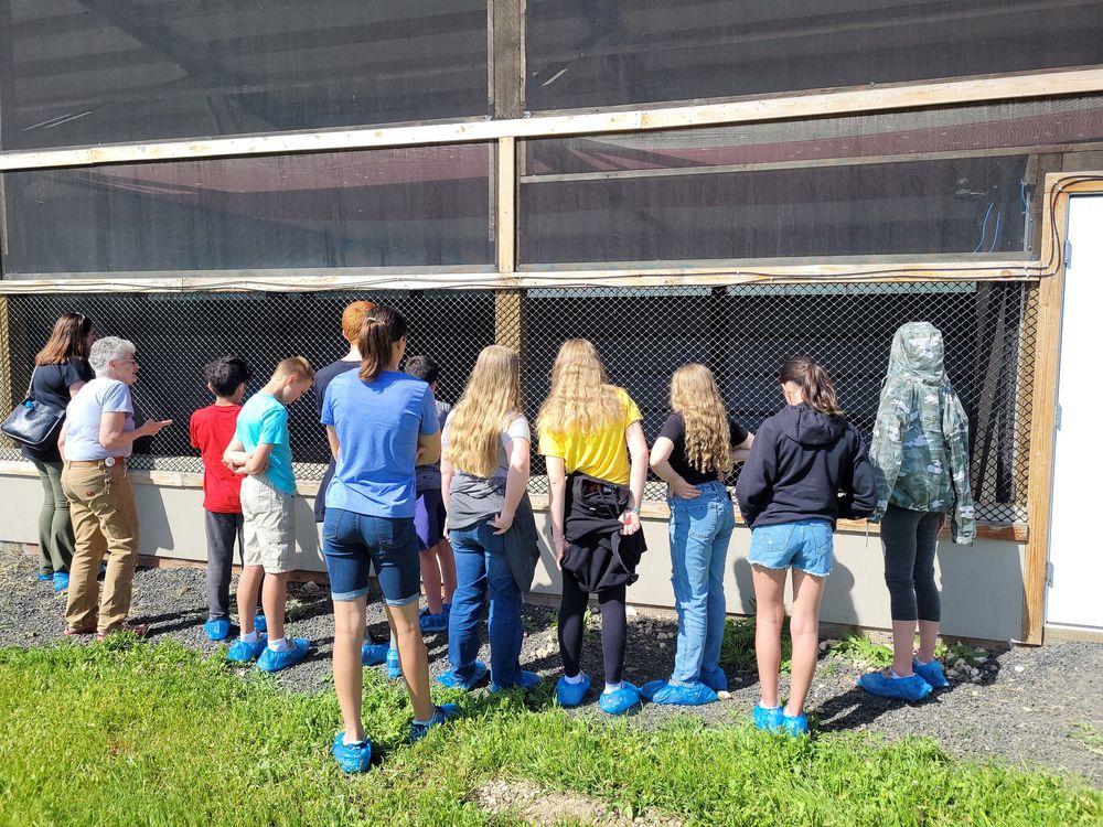 LMS TAG students standing in front of bald eagle rehabilitation cage