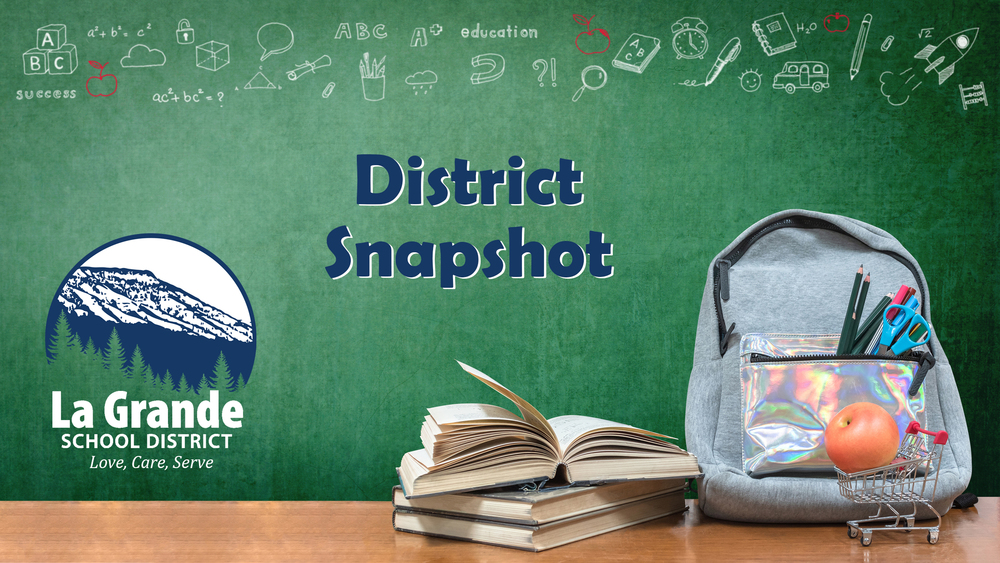 District Snapshot on a chalkboard along with books and a backpack