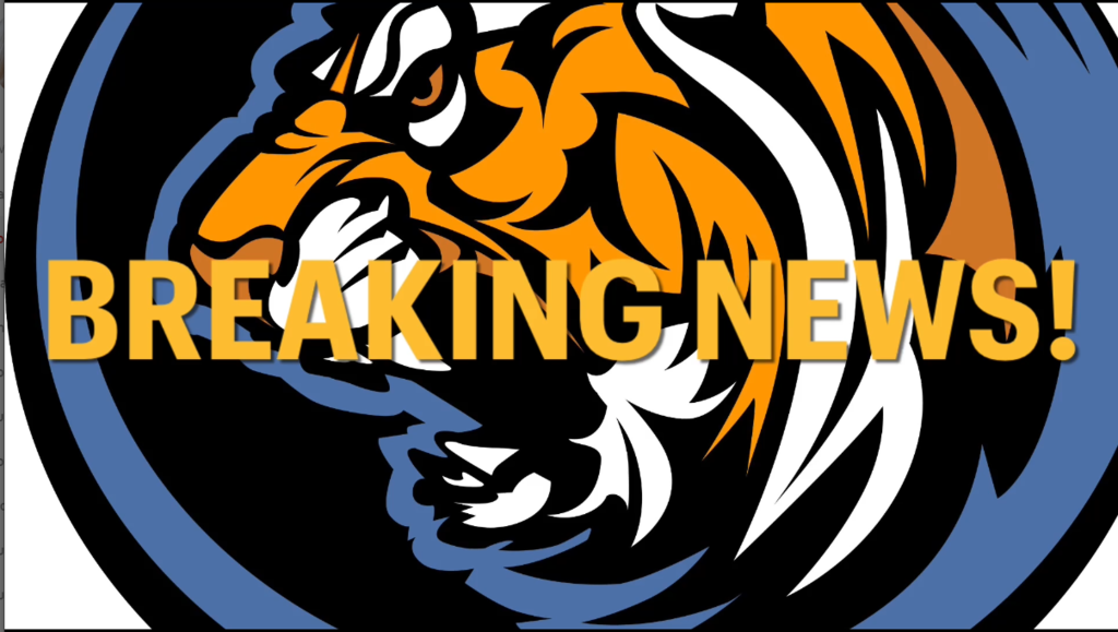 Breaking News- Tiger Head