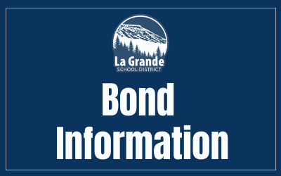LGSD logo with "Bond information"