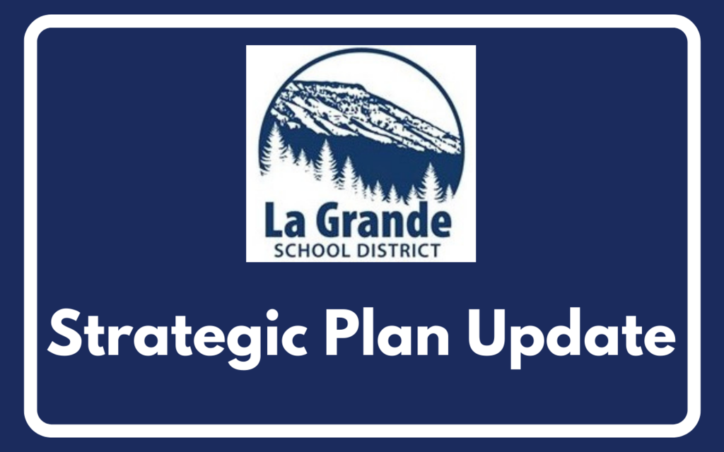 LGSD Strategic Plan Update